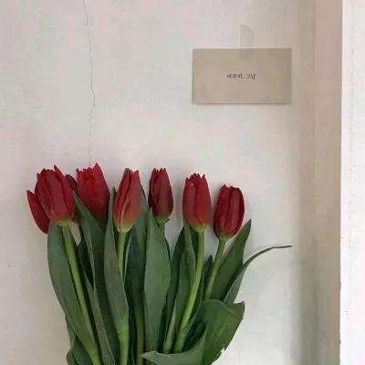 博鱼APP官网入口